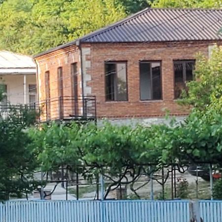 Hostel Family Kutaisi Bagian luar foto