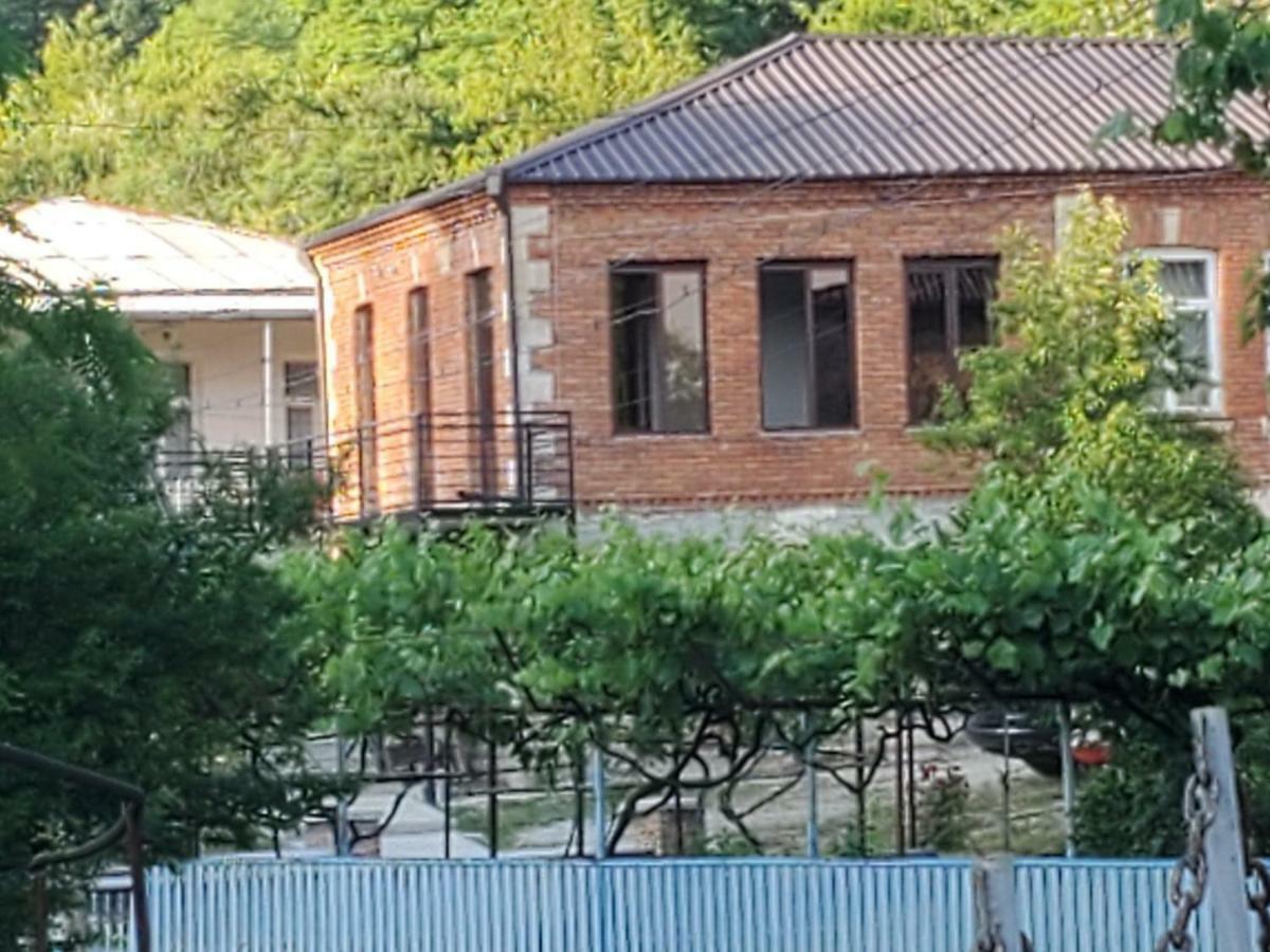 Hostel Family Kutaisi Bagian luar foto