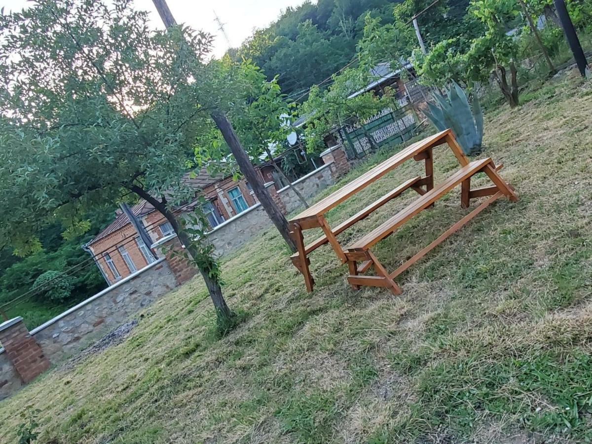 Hostel Family Kutaisi Bagian luar foto
